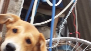 20160329_092218
