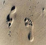 images-2